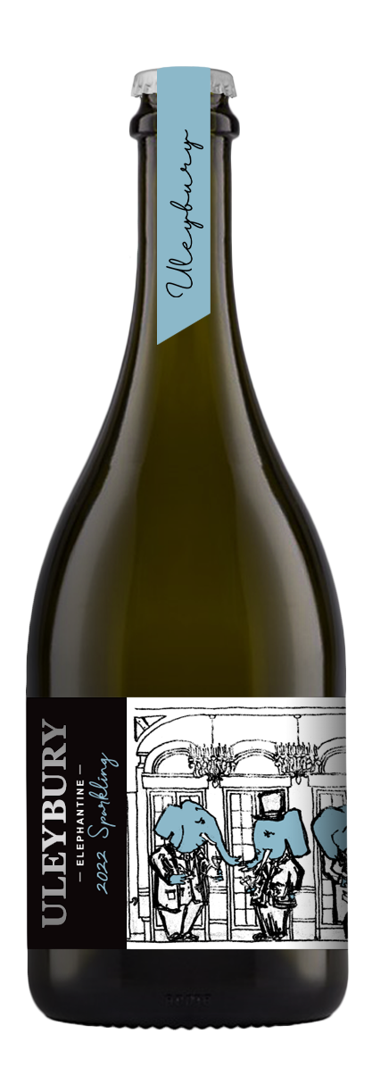 2022 Sparkling Chardonnay Semillon